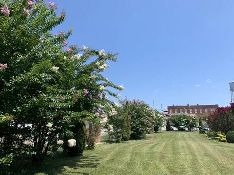 ElyWalkerGrounds